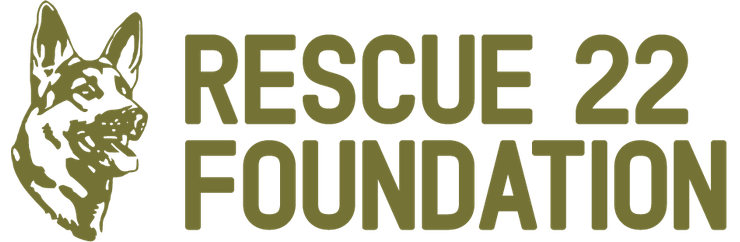 Rescue22org.png
